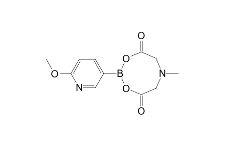 2-Methoxy-5-pyridinylboronic acid MIDA ester