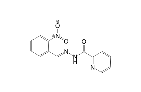 N'-[(E)-(2-nitrophenyl)methylidene]-2-pyridinecarbohydrazide