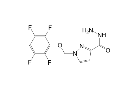 1-[(2,3,5,6-tetrafluorophenoxy)methyl]-1H-pyrazole-3-carbohydrazide