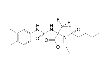 2-[(3,4-dimethylphenyl)carbamoylamino]-3,3,3-trifluoro-2-(valerylamino)propionic acid ethyl ester