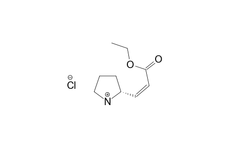 ETHYL-3-[(2R)-2-PYRROLIDINYL]-2-(Z)-PROPENOATE-HYDROCHLORIDE