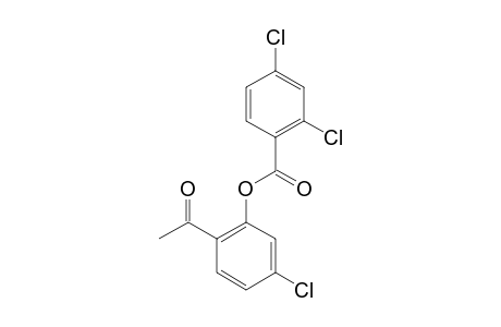 4'-CHLORO-2'-(2,4-DICHLOROBENZOYLOXY)-ACETOPHENONE