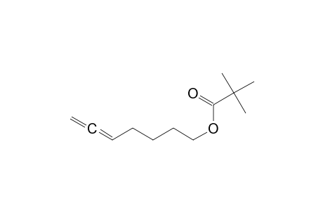 2,2-Dimethylpropanoic acid hepta-5,6-dienyl ester