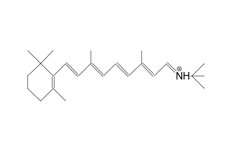 tert-Butyl-retinylidene-iminium cation