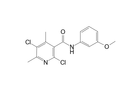 2,5-Dichloro-N-(3-methoxy-phenyl)-4,6-dimethyl-nicotinamide