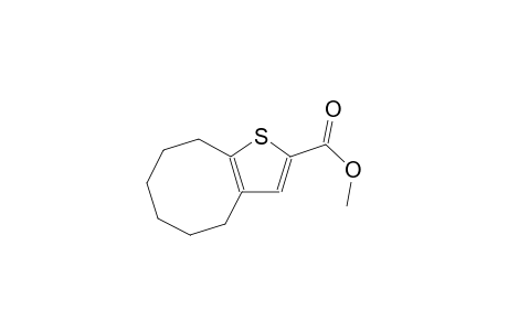 methyl 4,5,6,7,8,9-hexahydrocycloocta[b]thiophene-2-carboxylate