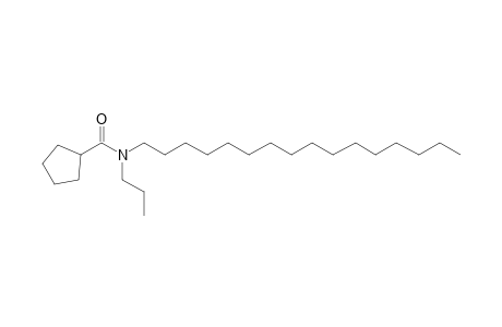 Cyclopentanecarboxamide, N-propyl-N-hexadecyl-