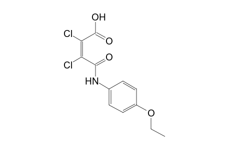 2,3-DICHLORO-4'-ETHOXYMALEANILIC ACID