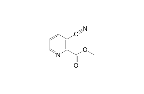 3-cyanopicolinic acid, methyl ester