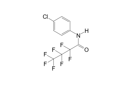 N-(4-Chlorophenyl)-2,2,3,3,4,4,4-heptafluorobutanamide