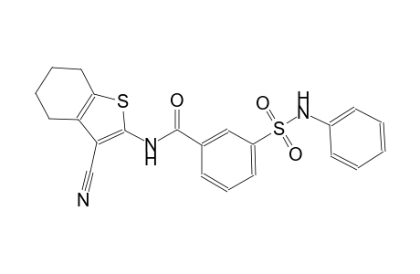 benzamide, N-(3-cyano-4,5,6,7-tetrahydrobenzo[b]thien-2-yl)-3-[(phenylamino)sulfonyl]-