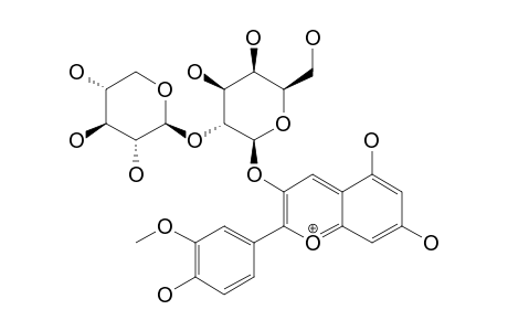 PEONIDIN-3-O-BETA-D-XYLOPYARNOSYL-(1->2)-BETA-D-GALACTOPYRANOSIDE
