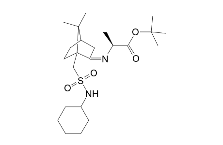 (S)-N-Cyclohexyl-{[2-(1-(tert-butyloxycarbonyl)ethyl-imino)-7,7-dimethylcyclo[2.2.1]heptyl-1yl]methyl}sulfonamide