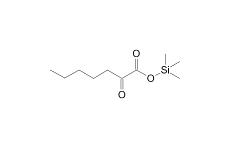 trimethylsilyl 2-oxoheptanoate