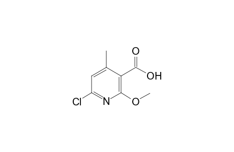 6-Chloro-2-methoxy-4-methyl-nicotinic acid