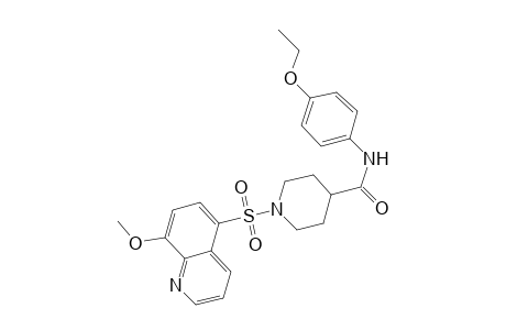 1-[(8-methoxy-5-quinolyl)sulfonyl]-N-p-phenetyl-isonipecotamide