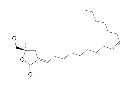 TORNABEATIN-A;(5R,DELTA(3,1'Z),7'Z)-3-HEXADEC-7'-ENYLIDENE-5-HYDROXYMETHYL-5-METHYL-DIHYDROFURAN-2-ONE