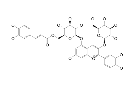 GENTIOCYANIN-A;CYANIDIN-3-O-BETA-D-GLUCOPYRANOSIDE-5-O-(6-O-CAFFEOYL-BETA-D-GLUCOPYRANOSIDE)