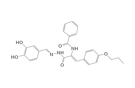 2-propenoic acid, 2-(benzoylamino)-3-(4-propoxyphenyl)-, 2-[(E)-(3,4-dihydroxyphenyl)methylidene]hydrazide, (2Z)-