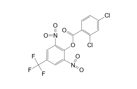 2,6-DINITRO-alpha,alpha,alpha-TRIFLUORO-p-CRESOL, 2,4-DICHLOROBENZOATE