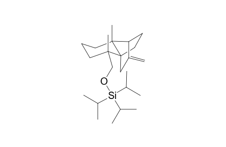 1,5-Dimethyl-5-(triisopropylsilyloxymethyl)-10-methylene-tricyclo[4.4.0.2(6,9)]undecane