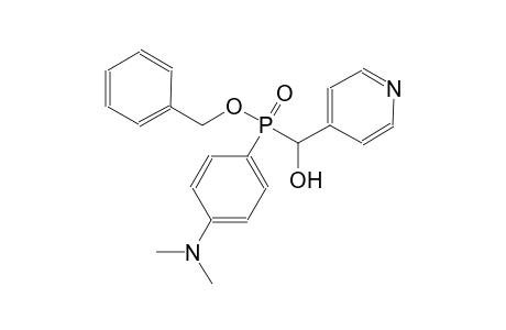 benzyl 4-(dimethylamino)phenyl[hydroxy(4-pyridinyl)methyl]phosphinate