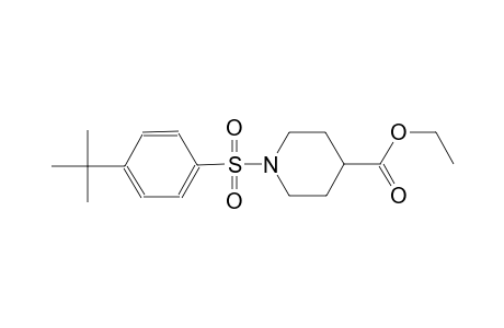 4-piperidinecarboxylic acid, 1-[[4-(1,1-dimethylethyl)phenyl]sulfonyl]-, ethyl ester