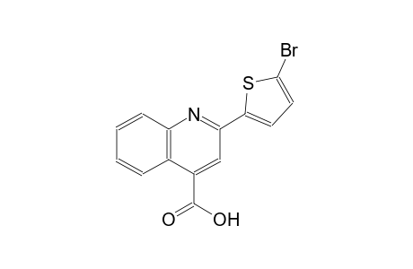 2-(5-bromo-2-thienyl)-4-quinolinecarboxylic acid