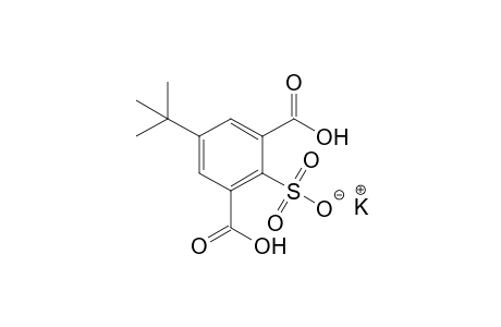 5-tert-butyl-2-sulfoisophthalic acid, 2-potassium salt