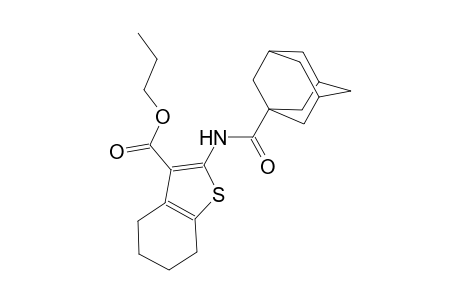 propyl 2-[(1-adamantylcarbonyl)amino]-4,5,6,7-tetrahydro-1-benzothiophene-3-carboxylate