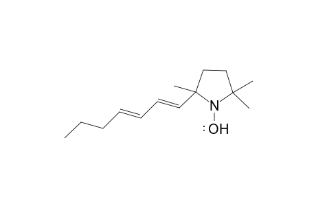 2-Hepta-1,3-dienyl-2,5,5-trimethyl-pyrrolidin-1-yloxyl radical