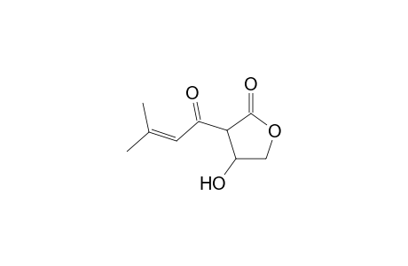 3-Methylcrotonylcarnitine oxylactone