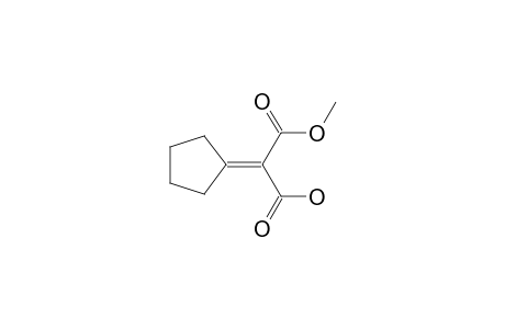 2-cyclopentylidene-3-keto-3-methoxy-propionic acid