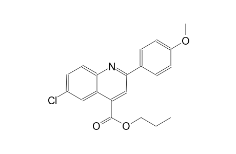 propyl 6-chloro-2-(4-methoxyphenyl)-4-quinolinecarboxylate