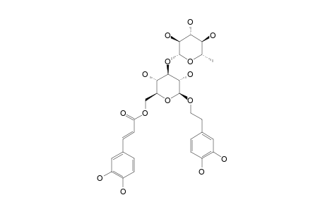 ISOACTEOSIDE;3,4-DIHYDROXYPHENETHYLOXY-BETA-D-(3'-O-ALPHA-L-RHAMNOPYRANOSYL-6'-O-CAFFEOYL)-GLUCOPYRANOSIDE