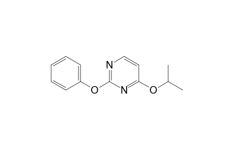 2-Phenoxy-4-propan-2-yloxy-pyrimidine