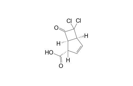 6,6-dichloro-7-oxobicyclo[3.2.0]hept-3-ene-2 alpha-carboxylic acid