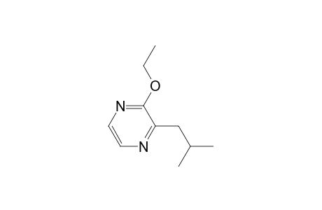2-Ethoxy-3-(2-methylpropyl)pyrazine