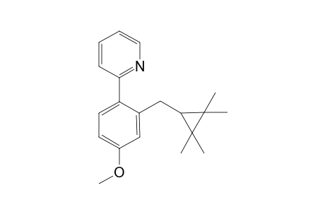 2-{4-Methoxy-2-[(2,2,3,3-tetramethylcyclopropyl)methyl]phenyl}-pyridine