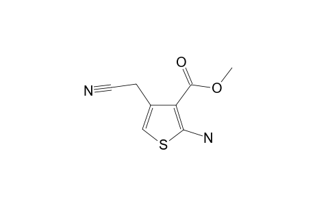 METHYL-2-AMINO-4-(CYANOMETHYL)-THIOPHENE-3-CARBOXYLATE