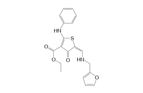 5-[[(furan-2-ylmethyl)-amino]-methylene]-4-oxo-2-phenylamino-4,5-dihydro-thiophene-3-carboxylic acid ethyl ester