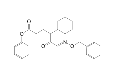 Phenyl (E)-6-((benzyloxy)imino)-4-cyclohexyl-5-oxohexanoate