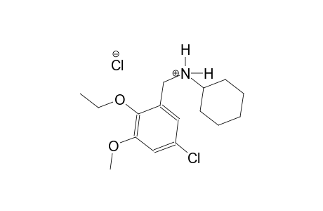 N-(5-chloro-2-ethoxy-3-methoxybenzyl)cyclohexanaminium chloride