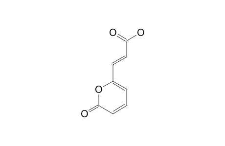 3-(2-PYRON-6-YL)-PROPENOIC-ACID