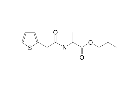 L-Alanine, N-(2-thienylacetyl)-, isobutyl ester