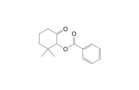 (2,2-dimethyl-6-oxidanylidene-cyclohexyl) benzoate