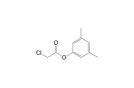 Chloroacetic acid, 3,5-dimethylphenyl ester