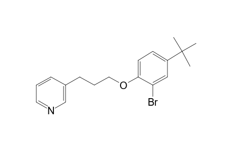 3-[3-(2-bromo-4-tert-butyl-phenoxy)propyl]pyridine