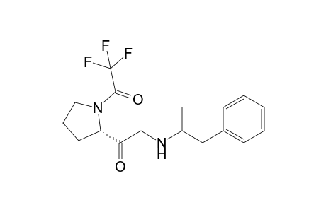 l-Methamphetamine TPC derivative