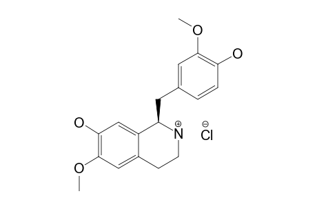 (S)-[1-(13)C]-NORORIENTALINE-HYDROCHLORIDE